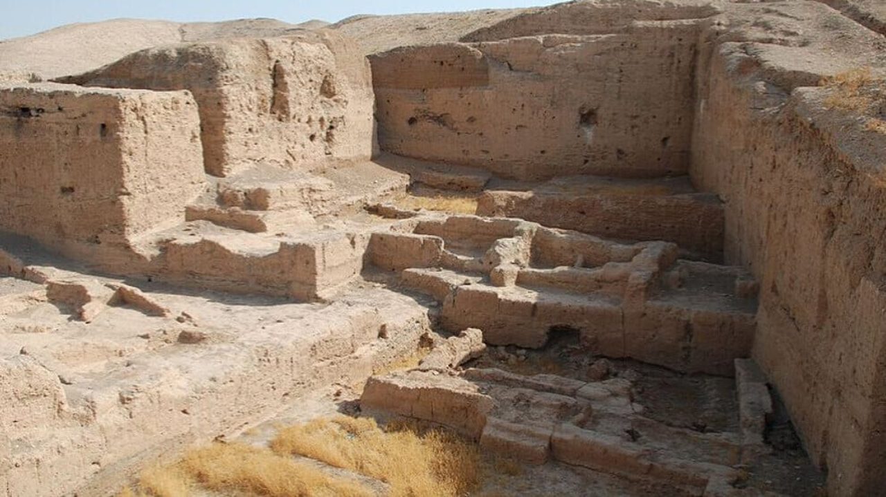 الحسكة