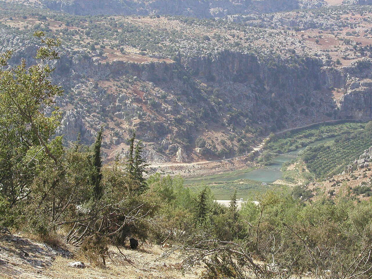 عين الزرقا