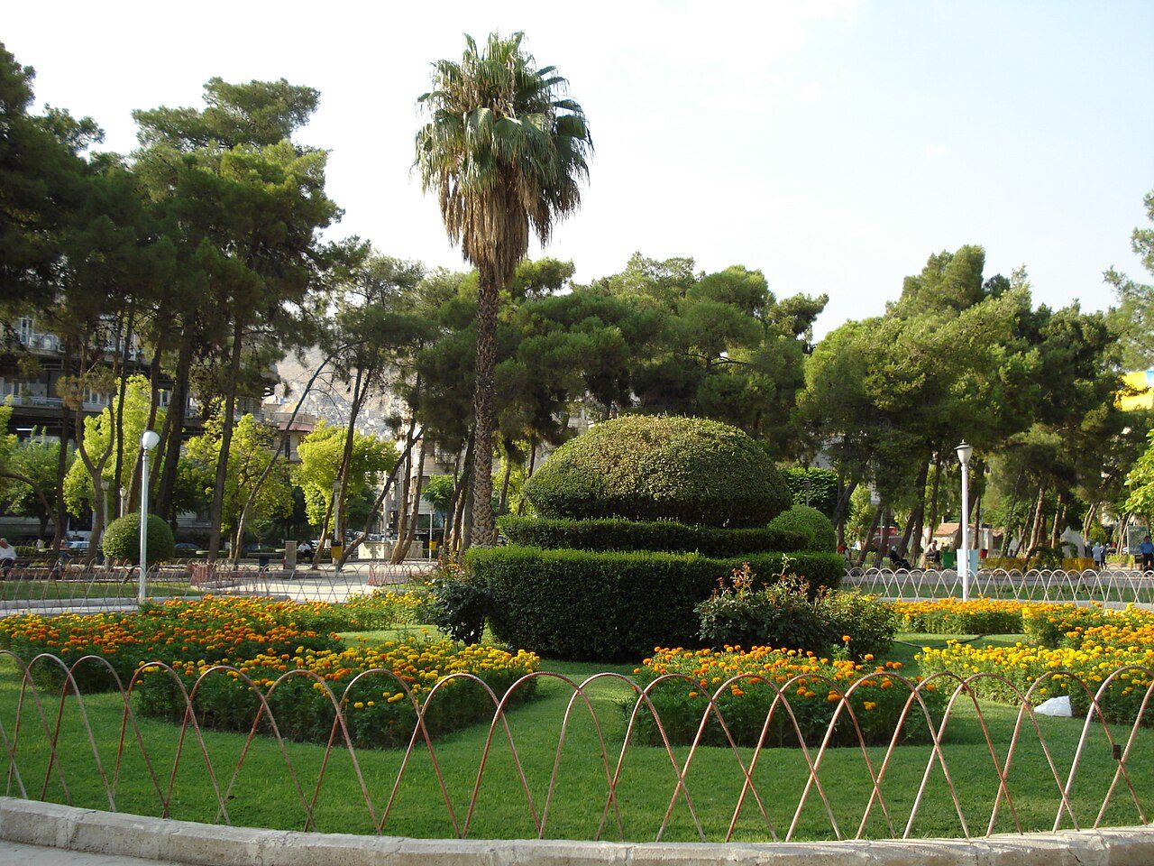 📷 Unknown · Public domain · Wikimedia Commons